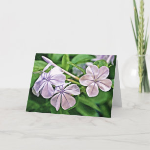 Carte Geranium Blooms Scripture Card Ecclesiastes 3:1