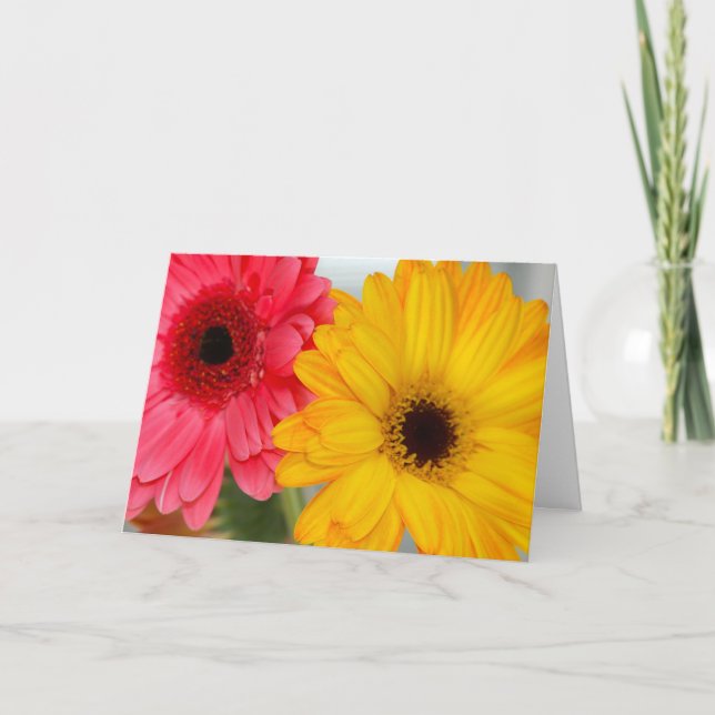 Carte Gerber Daises Friendship Grey Card (Devant)