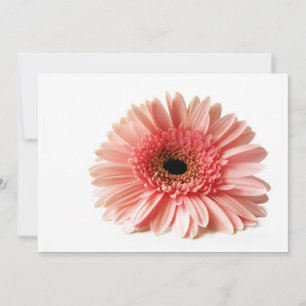 Carte Gerbera