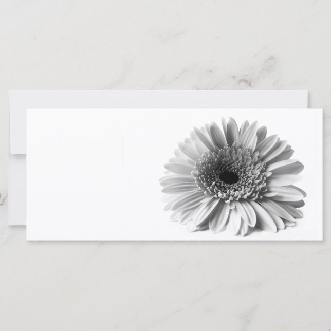 Carte Gerbera (Devant)