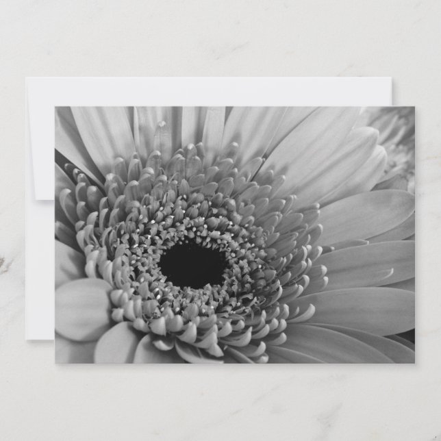 Carte Gerbera Daisy (Devant)