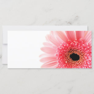 Carte Gerbera Daisy
