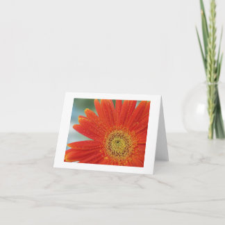 Carte Gerbera orange