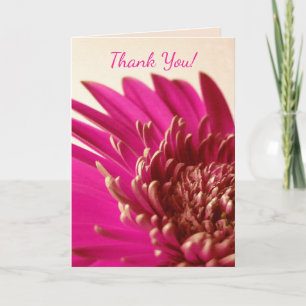 Carte Gerbera rose