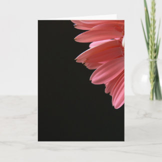 Carte Gerbera rose sur le noir
