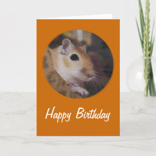 Carte Gerbille d'or mignonne d'animal familier