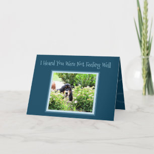 Carte "Get Well" avec Basset Hound Puppy