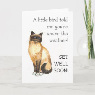 Carte Get Well - Birman Cat