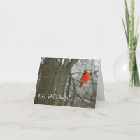 GET WELL SOON/BRIGHT RED CARDINAL ON TREE BRANCH