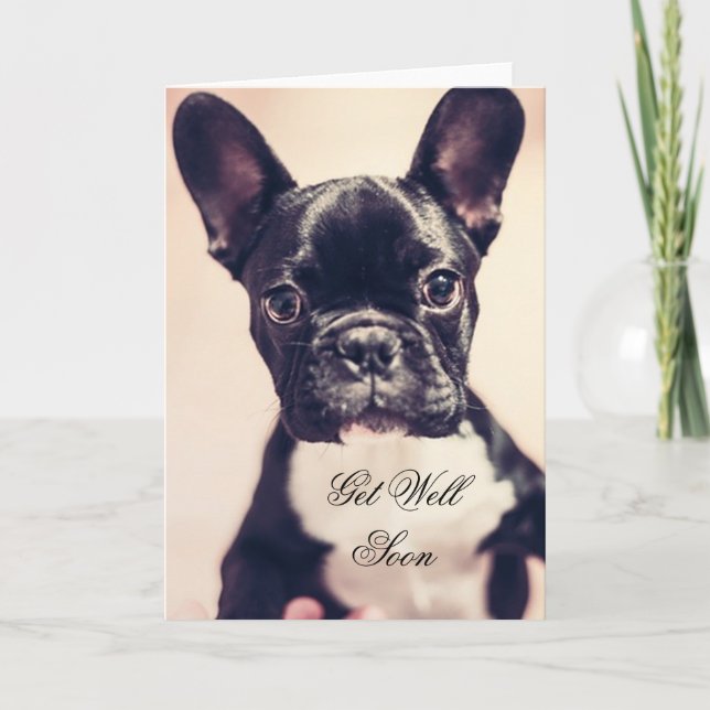 Carte Get Well Soon French Bulldog dog (Devant)