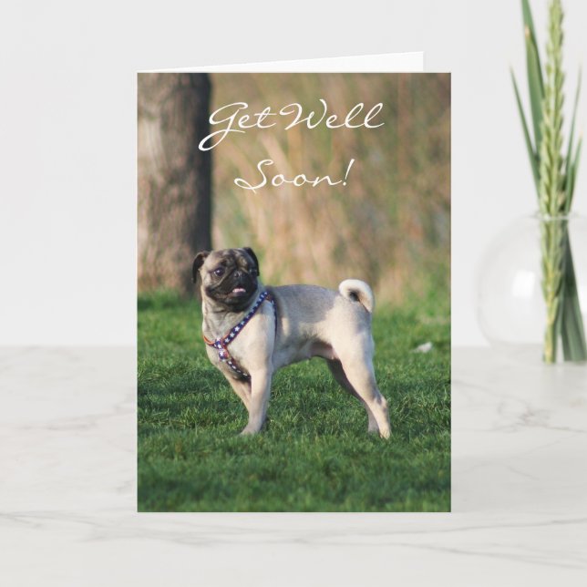 Carte Get well soon pug in the park greeting card (Devant)