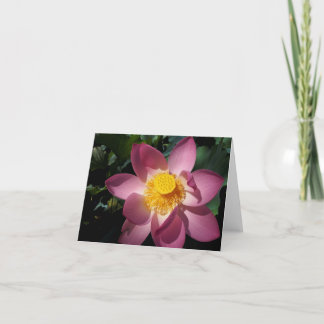 Carte Giant Lily Notecard