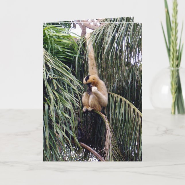 Carte Gibbon,_Just_Chillin,_Greeting_Card. (Devant)