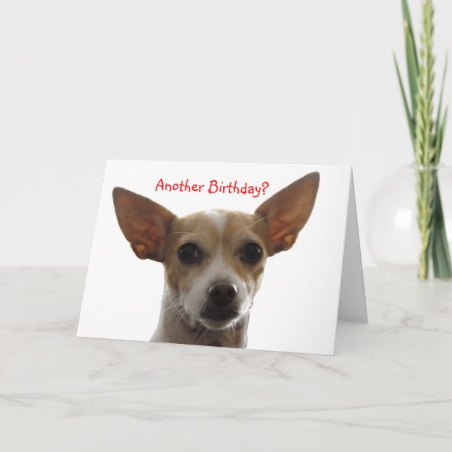 Carte GiGi, un autre anniversaire ? (Devant)