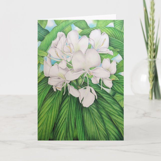 Carte Gingembre blanc hawaïen (Devant)