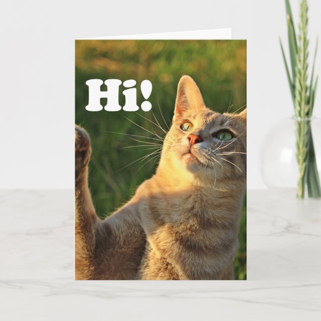 Carte Ginger Cat Dit Bonjour ! (Devant)