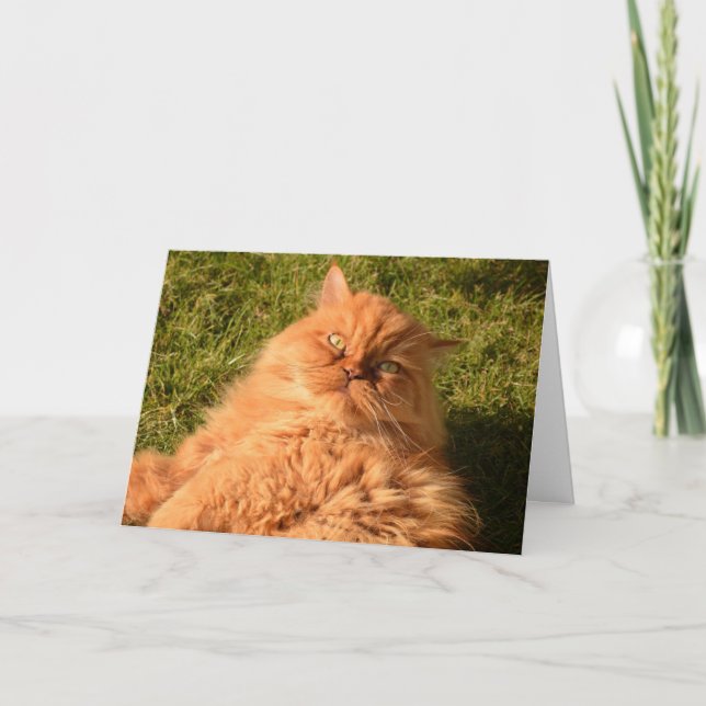 CARTE GINGER RED CAT "CHILL" BONJOUR N'IMPORTE QUELLE CA (Devant)