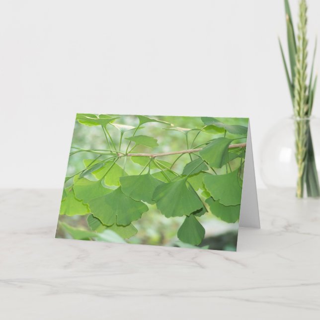 Carte ginkgo (Devant)