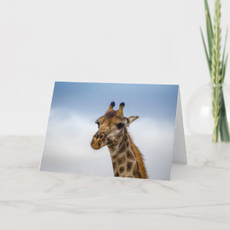 Carte Girafe d'Afrique du Sud