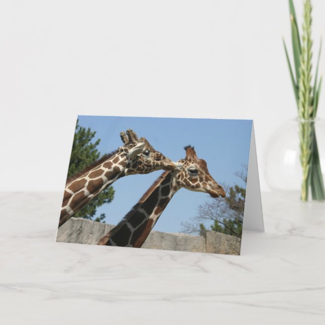 Carte Giraffe (Devant)