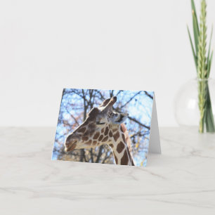 Carte Giraffe