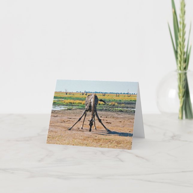 Carte Giraffe (Devant)