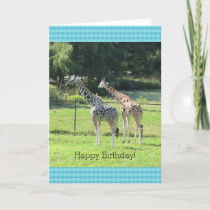 Carte Giraffes de pâturage Salutations d'anniversaire