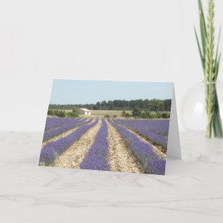Carte Gisement de lavande en Provence