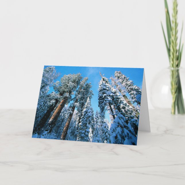 Carte Glace et neige | Parc national de Sequoia, Califor (Devant)