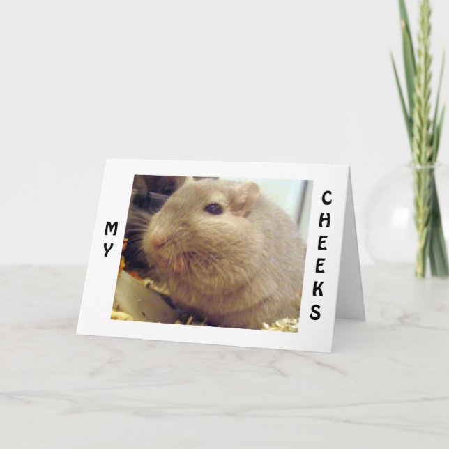 CARTE GLOUTING GERBIL EST MAINTENANT PLUS JEUNE QUE VOUS (Devant)