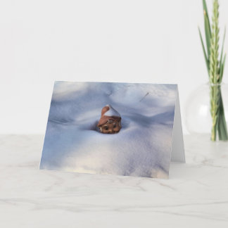 Carte Gnome de neige