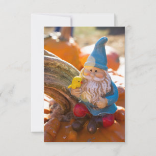 Carte Gnome Stem II