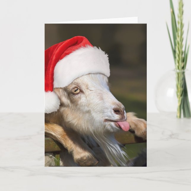 Carte Goat (Devant)