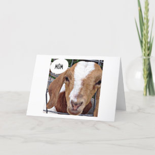 CARTE GOAT DIT "MAMAN" "PAS D'ENLÈVEMENT HEUREUX ANNIVER