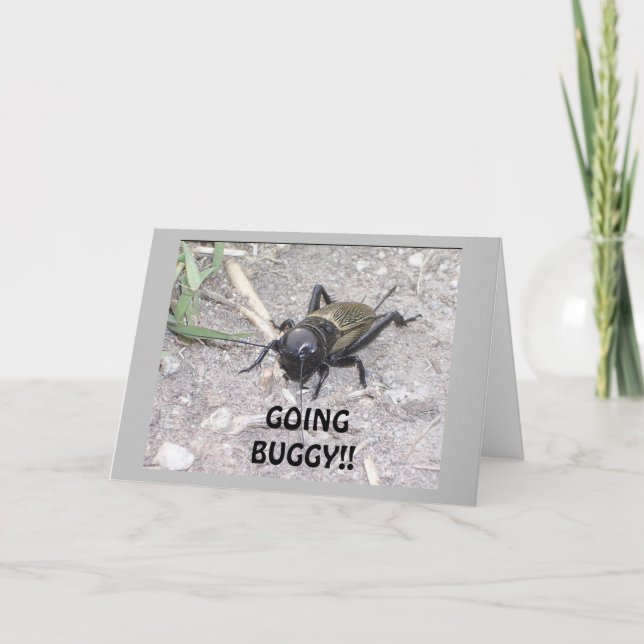 CARTE GOING BUGGY VOUS NE POUVEZ PAS AVOIR 18 ANS ! ! !  (Devant)