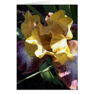 Carte Gold sur Iris violet