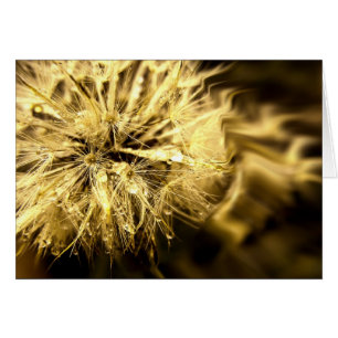 Carte Golden Dandy Dreams