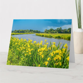 Carte Golden Irises inspiring the symbol Fleur de Lis. 