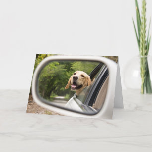Carte Golden Labrador In Rearview Mirror