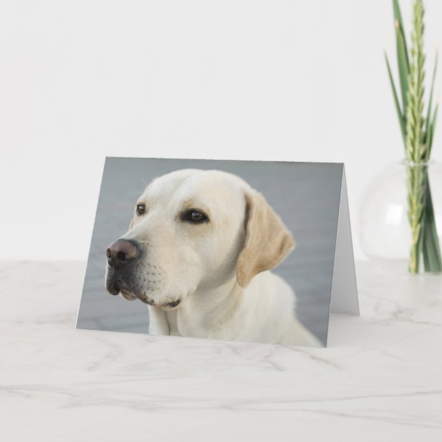 Carte Golden Labrador Retriever Photographie (Devant)