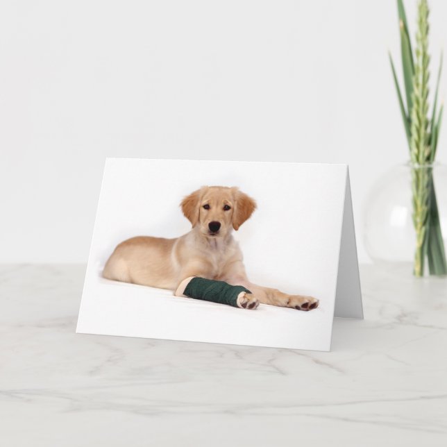 Carte Golden Puppy s'en sortir (Devant)