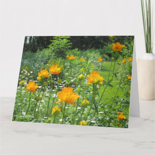Carte Golden Queen Trollius