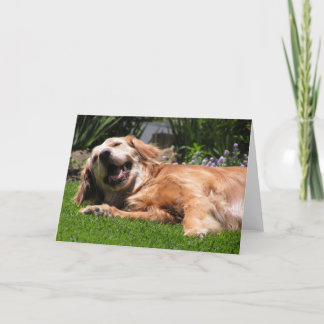 Carte Golden Retriever