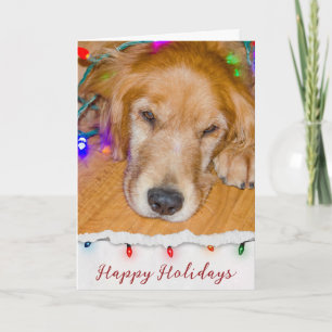 Carte Golden Retriever A Éclaté En Lumière