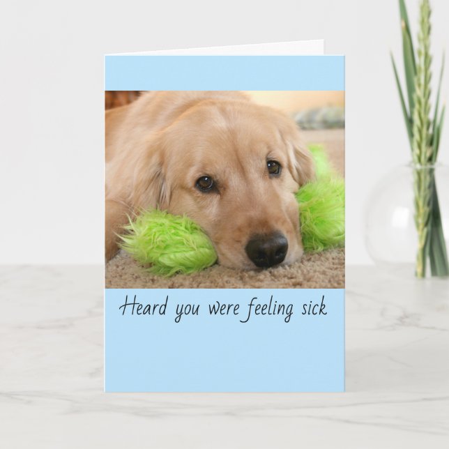 Carte Golden Retriever A Entendu Que Vous Étiez Malade. (Devant)