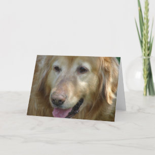Carte Golden Retriever Age 10 ans