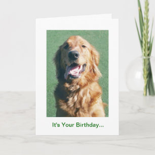 Carte Golden Retriever Anniversaire Card, Golden Years