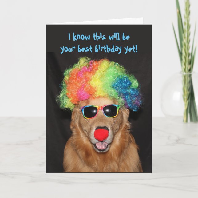 Carte Golden Retriever Anniversaire Clownin' autour (Devant)