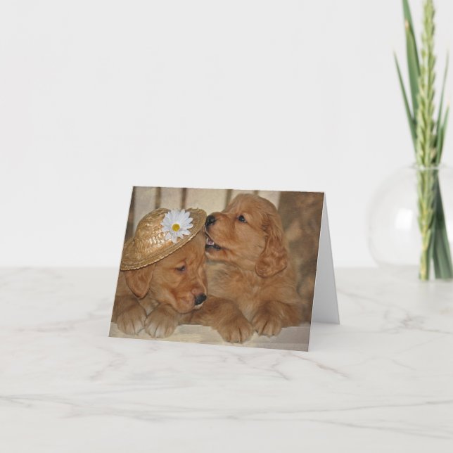 Carte Golden Retriever avec casquette (Devant)