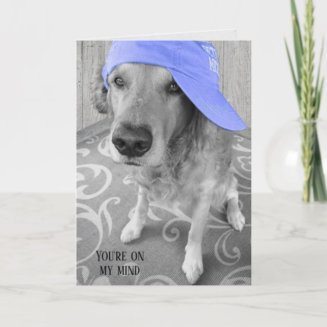 Carte Golden Retriever avec casquette violet (Devant)